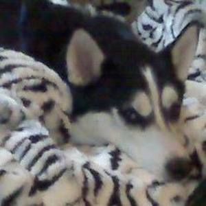 Meet your Posher, Ruth